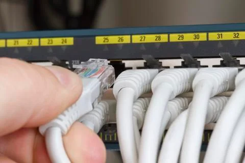 Connecting network cable into switch Foto stock