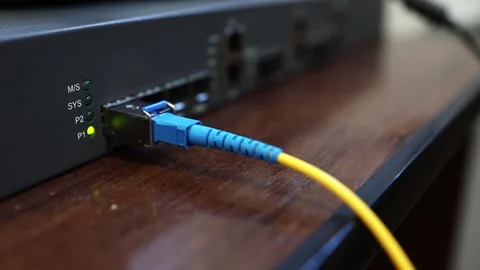 Connecting a router, router to the Internet network via an optical cable - patch Stock Footage 282983731