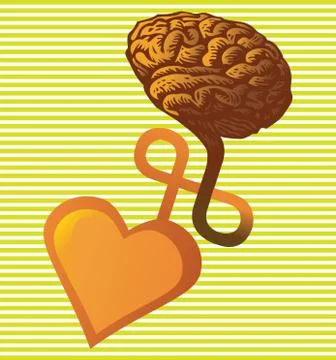 Connection between heart and brain - illustration Stock Illustration