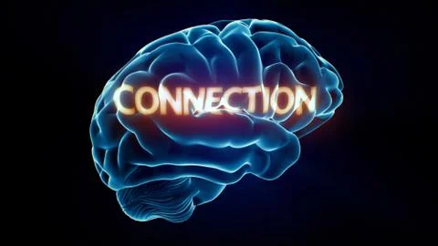 Connection xray brain イラスト素材