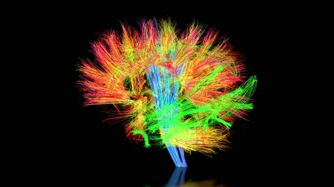 The connectome of the human brain. Stock Footage 49837328
