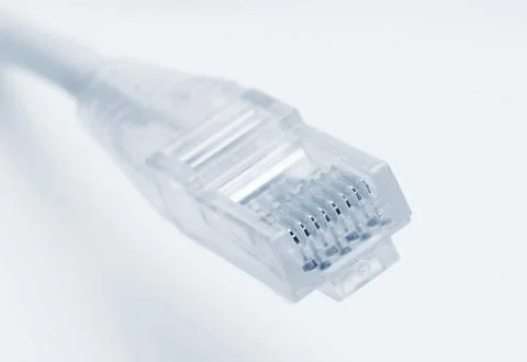 Connector RJ45 on patch cable. 스톡 사진
