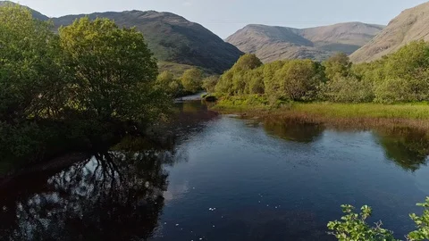 Connemara area with green trees Stock Footage 90370675