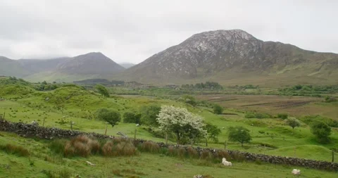 Connemara Hills Video stock 244131490