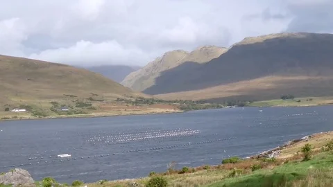 Connemara Landscape Stock Footage