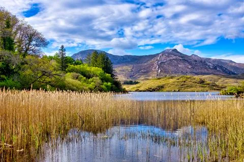 Connemara Stock Photos