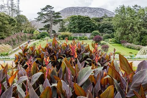 Connemara Stock Photos