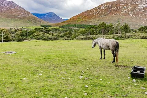 Connemara Stock Photos