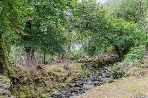 Connemara Stock Photos