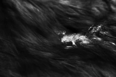 Conquer the flow in black and white Stock Photos