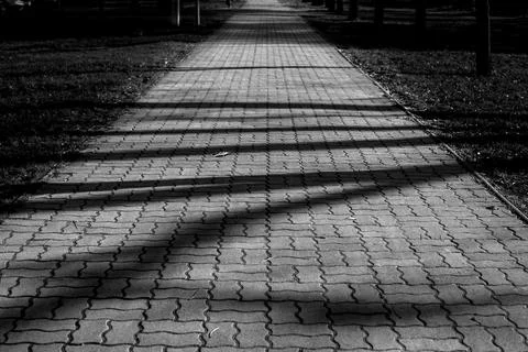 Conrete route in the park Stock Photos