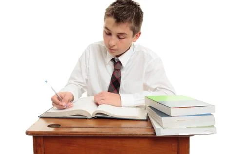 Conscientious school boy student Stock Photos