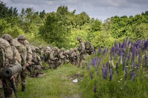 Conscripts from the Life Guards during military exercise at Danish Kulsbjerg Tra Stock Photos