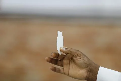 Consecration of bread and wafer wine Foto stock