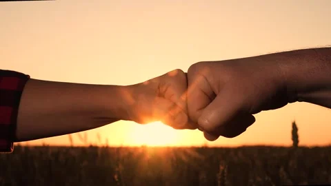 Consent trust sign at sunset. harmony of successful friendship. beat fists at Stock Footage 248127085