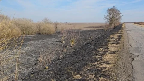 Consequences After Burnt Grass And Fire Stock Footage 303803729
