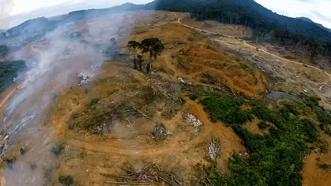 Consequences after the destruction of tropical forests. Aerial footage Stock Footage 71206273