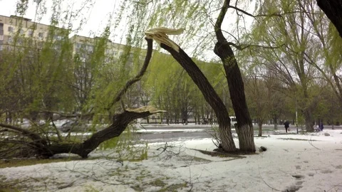 Consequences after the typhoon. Abnormal weather. Sharp cooling. Stock-Footage 74866876