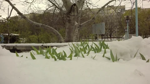 Consequences after the typhoon. Abnormal weather. Sharp cooling. 库存影片 74868285