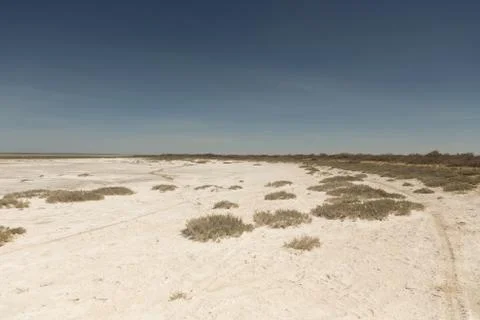 Consequences of Aral sea catastrophe. Sandy salt desert on the place of forme Stock Photos