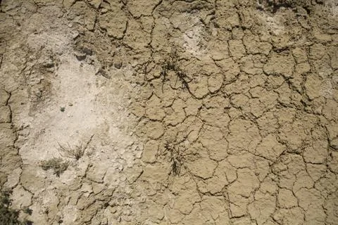 Consequences of Aral sea catastrophe. Sandy salt desert on the place of forme Stock Photos