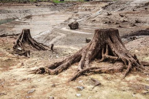 Consequences of deforestation in mountain Stock Photos