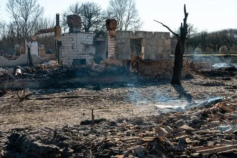 The consequences of a forest fire and arson of dry foliage.  Charred trees an Stock Photos