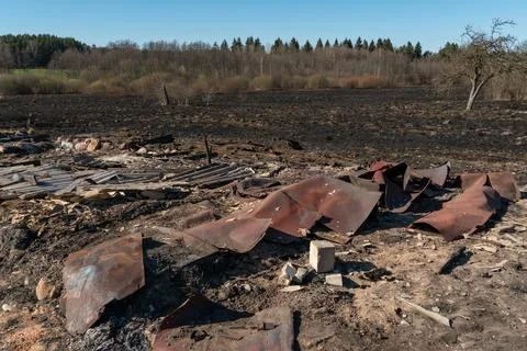 The consequences of a forest fire. The remains of a burnt-out old wooden hous Foto stock