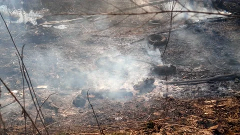 Consequences of human activity - fires and dumps in the forest Stock Footage 144877636