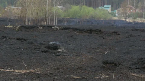 Consequences of peat fires near the settlement. Stock Footage 197550933