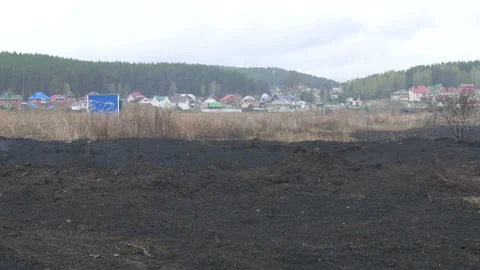 Consequences of peat fires near the settlement. Stock Footage 197551043