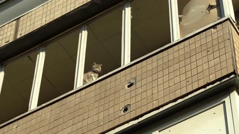 Consequences of rocket attack on the center of Ukraine. Stock Footage 229044754