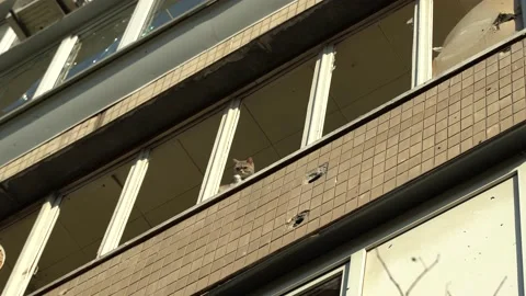 Consequences of rocket attack on the center of Ukraine. Stock Footage 229045210