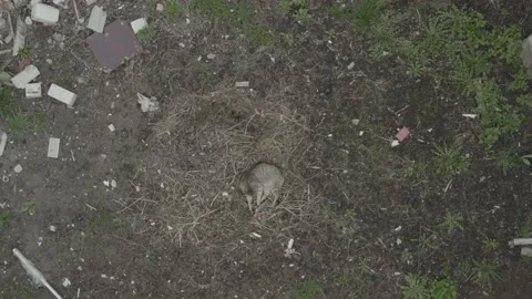 Consequences of russian aggression in Ukraine. War in Ukraine Stock Footage 193988567