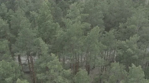 Consequences of russian aggression in Ukraine. War in Ukraine Stock Footage 193992379