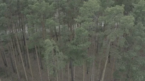 Consequences of russian aggression in Ukraine. War in Ukraine Stock Footage 193992654