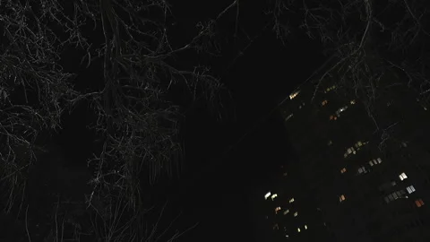 The consequences of severe frosts - tree branches covered with ice Stock Footage 327123871