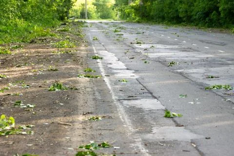 Consequences of a strong wind breaking trees - on the road there are branches Stock Photos