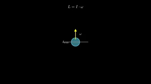 Conservation of Angular Momentum (Figure Skater Analogy) Stock Footage 308321714