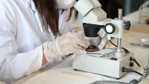 Conservation of archaeological finds in the laboratory Stock Footage 158399378