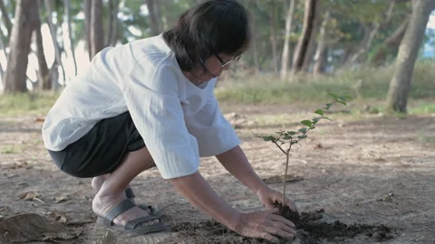 Conservation concept of 4k Resolution. Asian elderly woman planting a tree on Stock Footage 164172161