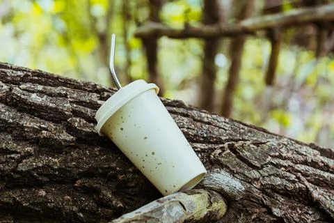 Conservation of the environment. Conscious consumption. Stock Photos