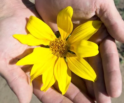 Conservation of nature Foto stock