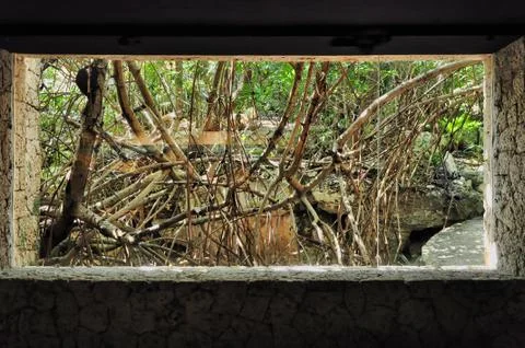 Conservation Stock Photos