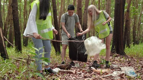 Conservatives are helping to collect the trash that is left in the forest Stock Footage 136441422