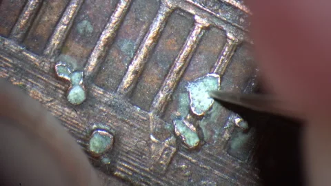 Conservator's needle is used to clean corrosion from a copper one-cent coin Stock Footage 320767291
