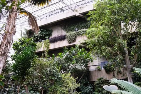 The Conservatory at The Barbican Centre Foto stock