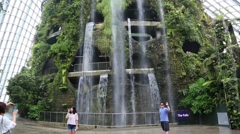 Conservatory Cloud Forest on the territory Park Gardens by the Bay in Singapore Video stock 49183874