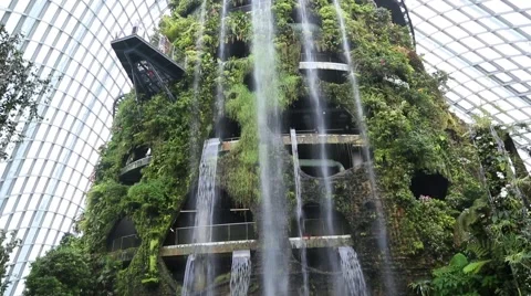 Conservatory Cloud Forest on the territory Park Gardens by the Bay in Singapore 스톡 동영상 49183973