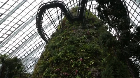 Conservatory Cloud Forest on the territory Park Gardens by the Bay in Singapore Stock-Footage 49184038